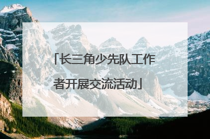 长三角少先队工作者开展交流活动