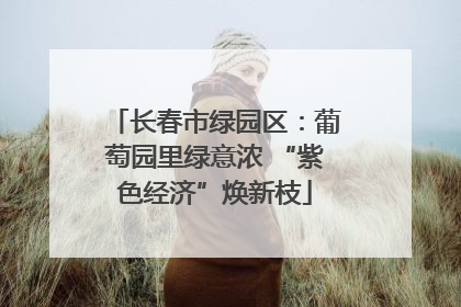 长春市绿园区：葡萄园里绿意浓 “紫色经济”焕新枝