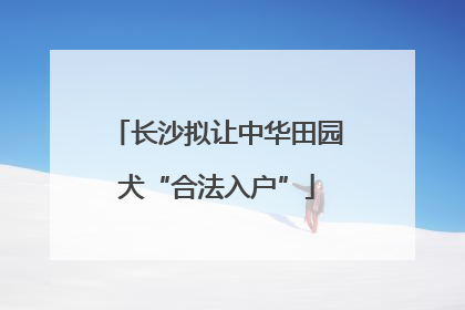 长沙拟让中华田园犬“合法入户”