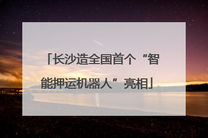 长沙造全国首个“智能押运机器人”亮相