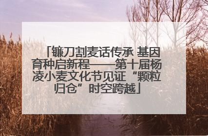镰刀割麦话传承 基因育种启新程——第十届杨凌小麦文化节见证“颗粒归仓”时空跨越