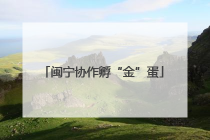 闽宁协作孵“金”蛋