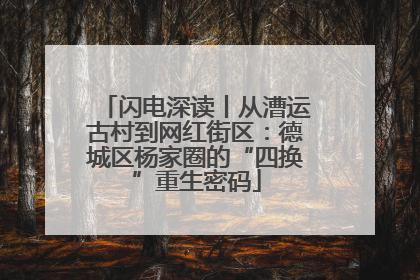 闪电深读丨从漕运古村到网红街区：德城区杨家圈的“四换”重生密码