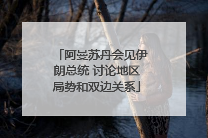 阿曼苏丹会见伊朗总统 讨论地区局势和双边关系
