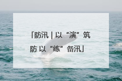 防汛｜以“演”筑防 以“练”备汛
