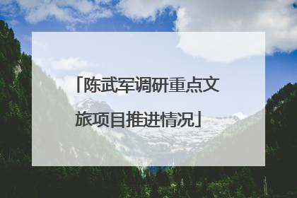 陈武军调研重点文旅项目推进情况