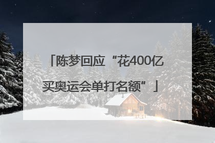 陈梦回应“花400亿买奥运会单打名额”