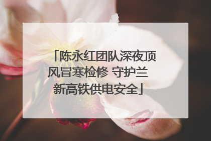 陈永红团队深夜顶风冒寒检修 守护兰新高铁供电安全