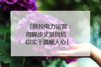 陕投电力运营：用脚步丈量民情 以实干温暖人心