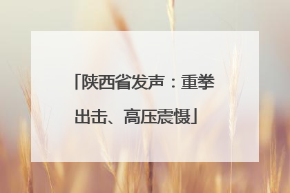 陕西省发声：重拳出击、高压震慑