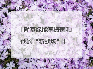 隆基绿能李振国和他的“新战场”
