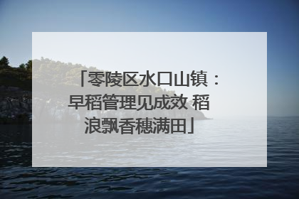 零陵区水口山镇：早稻管理见成效 稻浪飘香穗满田