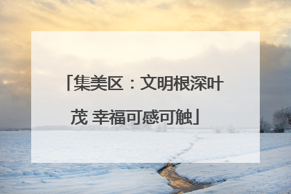 集美区：文明根深叶茂 幸福可感可触