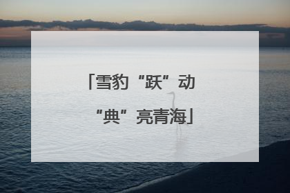 雪豹“跃”动 “典”亮青海