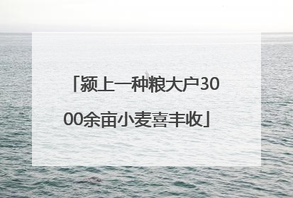 颍上一种粮大户3000余亩小麦喜丰收
