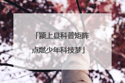 颍上县科普矩阵点燃少年科技梦