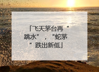 飞天茅台再“跳水”，“蛇茅”跌出新低