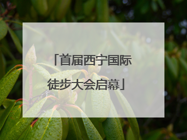 首届西宁国际徒步大会启幕