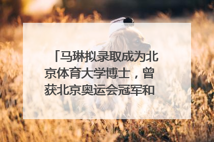 马琳拟录取成为北京体育大学博士，曾获北京奥运会冠军和4次世界杯冠军，张继科：他是神