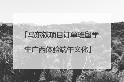 马东铁项目订单班留学生广西体验端午文化