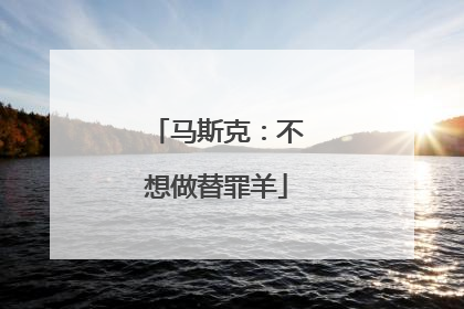 马斯克：不想做替罪羊