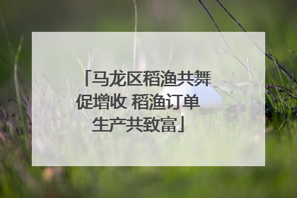 马龙区稻渔共舞促增收 稻渔订单生产共致富