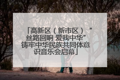 高新区（新市区）“丝路回响 爱我中华”铸牢中华民族共同体意识音乐会启幕