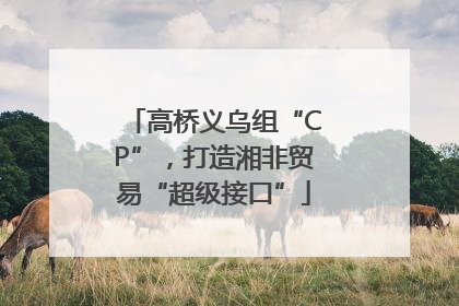 高桥义乌组“CP”，打造湘非贸易“超级接口”