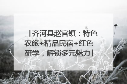 齐河县赵官镇：特色农旅+精品民宿+红色研学，解锁多元魅力