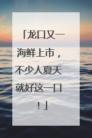 龙口又一海鲜上市，不少人夏天就好这一口！