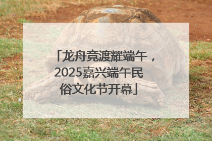 龙舟竞渡耀端午，2025嘉兴端午民俗文化节开幕