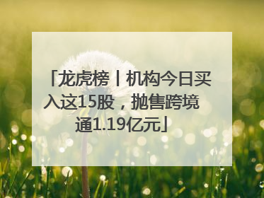 龙虎榜丨机构今日买入这15股，抛售跨境通1.19亿元