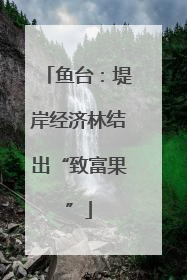 鱼台：堤岸经济林结出“致富果”