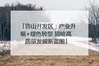 鲁山开发区：产业升级+绿色转型 描绘高质量发展新蓝图