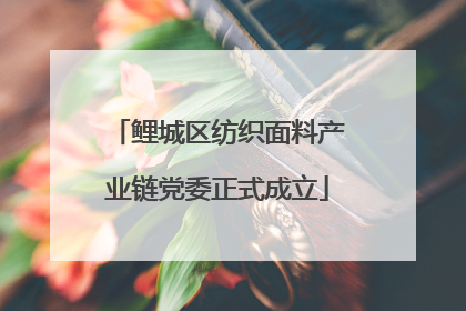 鲤城区纺织面料产业链党委正式成立