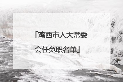 鸡西市人大常委会任免职名单