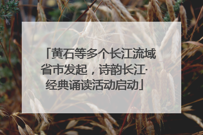 黄石等多个长江流域省市发起，诗韵长江·经典诵读活动启动
