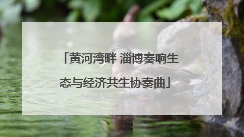 黄河湾畔 淄博奏响生态与经济共生协奏曲