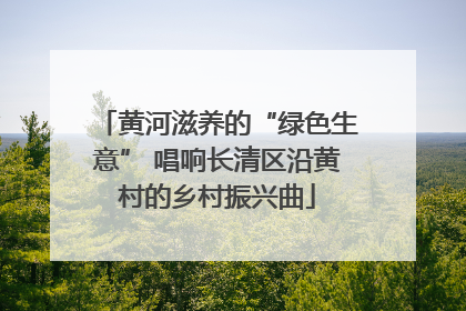 黄河滋养的“绿色生意” 唱响长清区沿黄村的乡村振兴曲