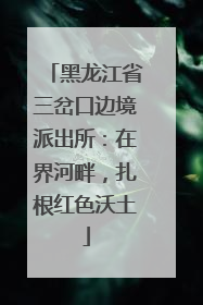 黑龙江省三岔口边境派出所：在界河畔，扎根红色沃土