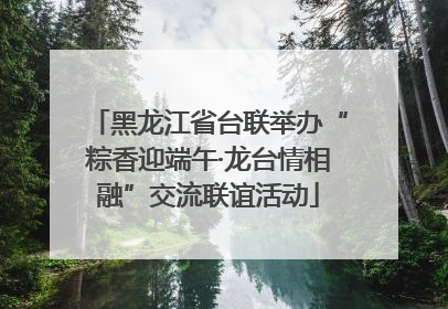 黑龙江省台联举办“粽香迎端午·龙台情相融”交流联谊活动
