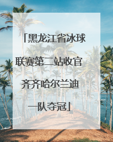 黑龙江省冰球联赛第二站收官 齐齐哈尔兰迪一队夺冠