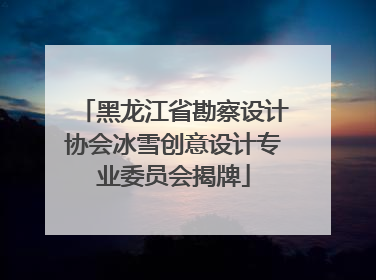 黑龙江省勘察设计协会冰雪创意设计专业委员会揭牌