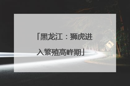 黑龙江：狮虎进入繁殖高峰期