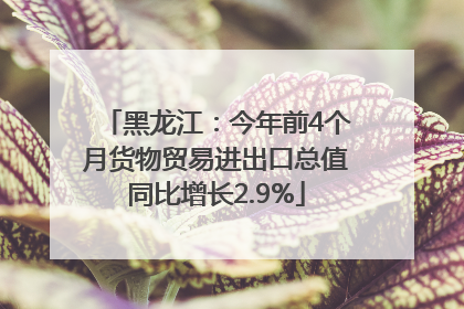 黑龙江：今年前4个月货物贸易进出口总值同比增长2.9%