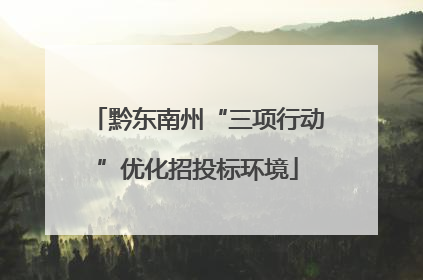 黔东南州“三项行动”优化招投标环境