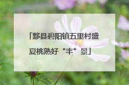 黟县碧阳镇五里村盛夏桃熟好“丰”景