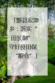 黟县宏潭乡：落实“田长制” 守好良田保“粮仓”