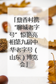鼎香村携“聊城老字号”惊艳亮相第九届中华老字号（山东）博览会
