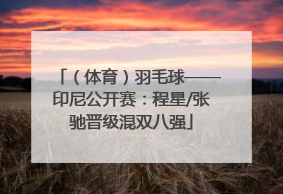 （体育）羽毛球——印尼公开赛：程星/张驰晋级混双八强